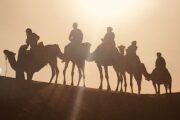 Ruta en Camello por El Desierto Erg Cherbbii