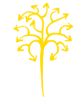 Ruta Cero Tours